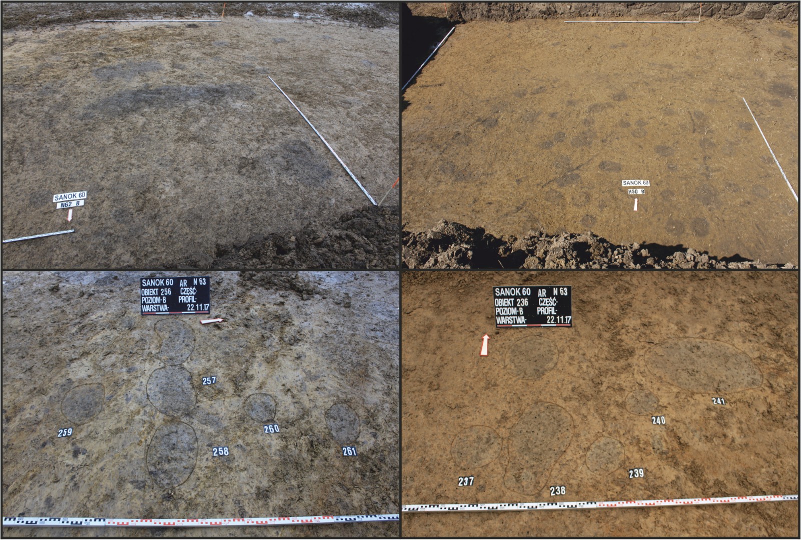 Sanok, stan. 59–60. Zgrupowania jam posłupowych w trakcie dokumentacji arów oraz poszczególnych obiektów