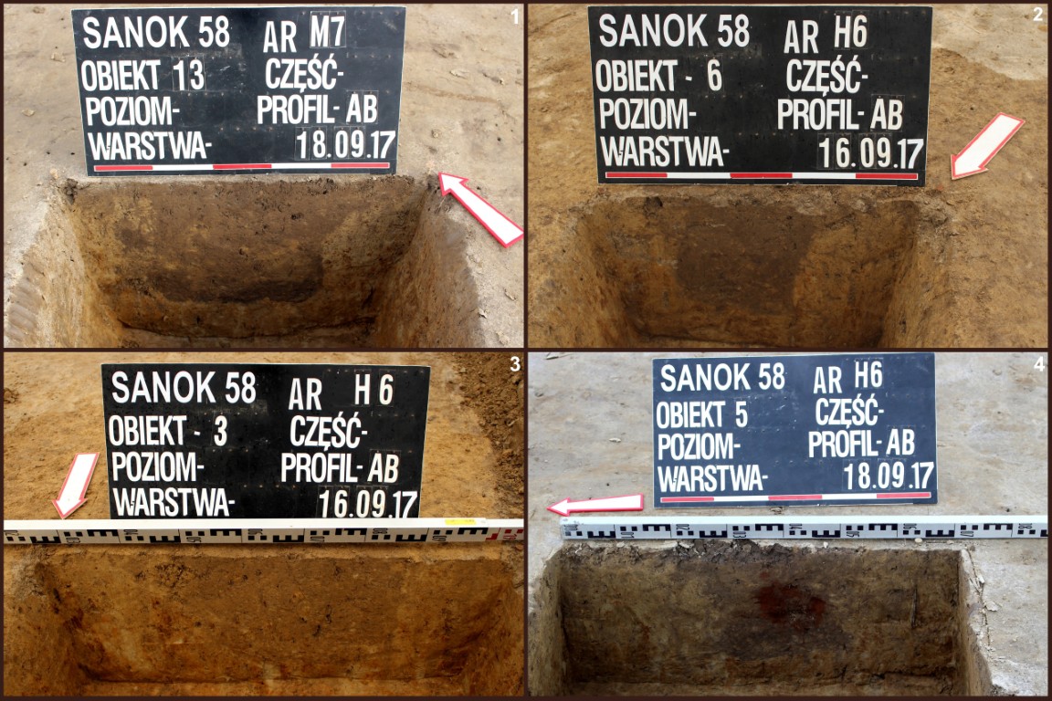 Sanok, stan. 58. Profile dołk&oacute;w posłupowych ze skupiska I