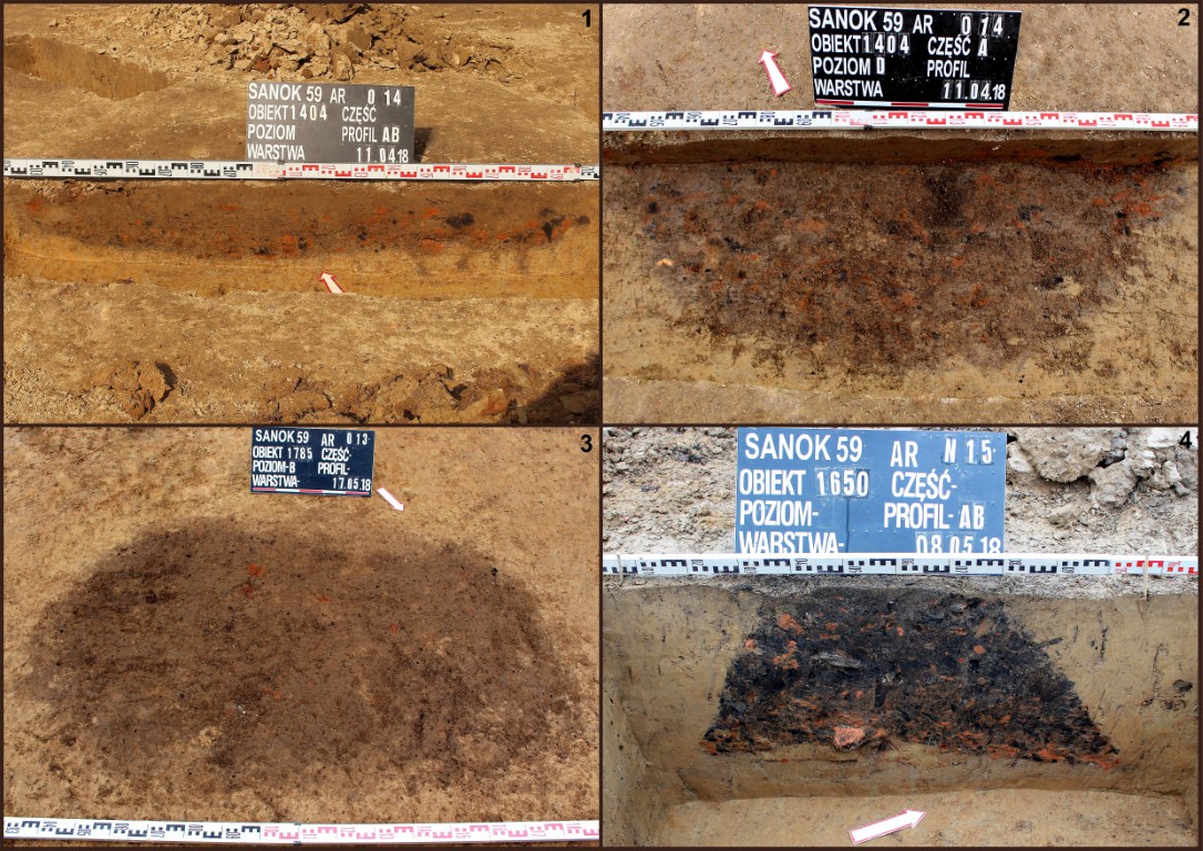 Sanok, stan. 59&ndash;60. Rzuty i profile jam zlokalizowanych przy południowo&ndash;zachodniej granicy stanowiska (1&ndash;3) oraz profil trapezowatego obiektu 1650/59 (4)