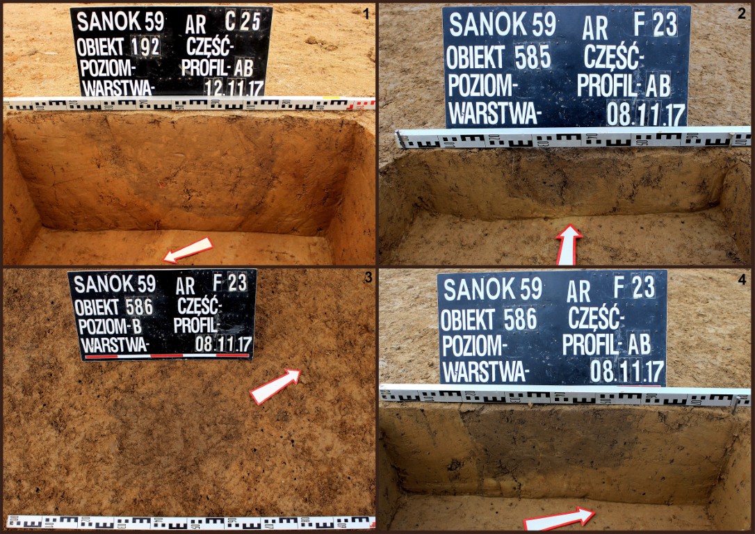 Sanok, stan. 59&ndash;60. Wybrane jamy posłupowe z konstrukcji I (1) oraz z konstrukcji II (2&ndash;4)