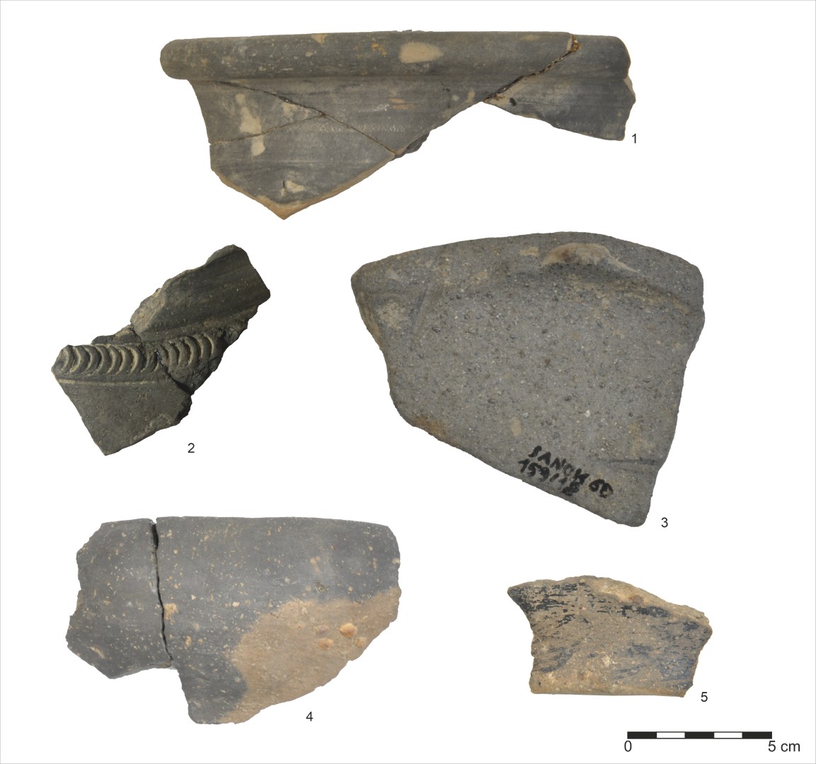 Sanok, stan. 59–60. Wybór ceramiki: 1-3: fragmenty naczyń wykonanych na kole garncarskim; 4, 5 – fragmenty ceramiki lepionej ręcznie